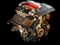 公与媳一级A片免费视频